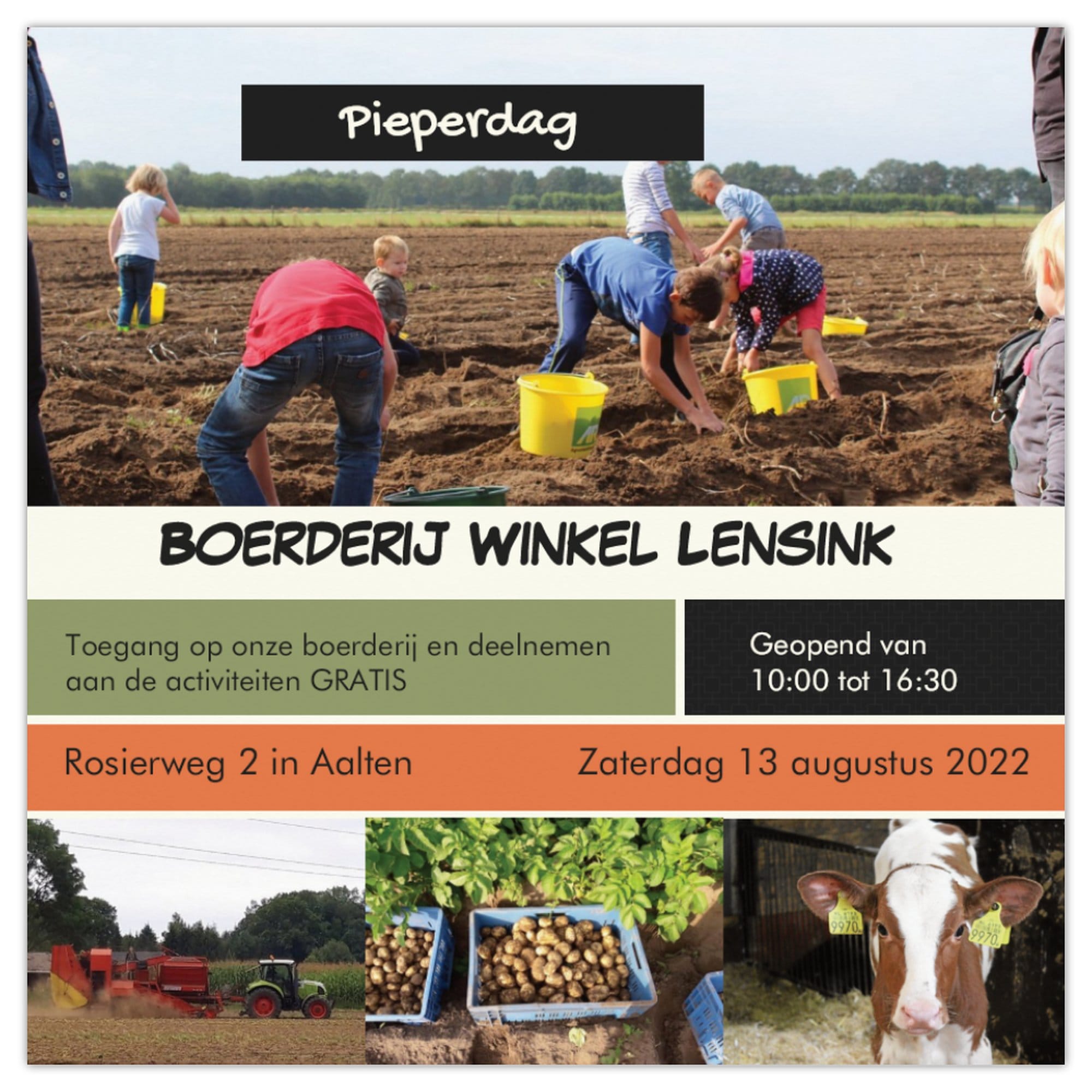Pieperdag bij Boerderijwinkel Lensink Aardappelen Aalten - Lintelo